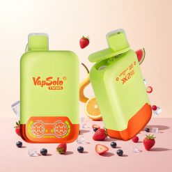 Melancia & Frutas Silvestres Vapsolo Twins 20000 Acessórias Duplo Tanque