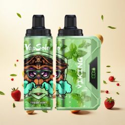 Menta Fresca VapSolo VIKING 12000 Puffs 22ml